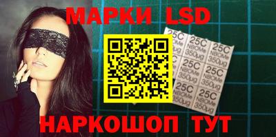 шишки Кандалакша