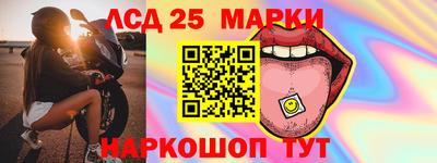 шишки Кандалакша