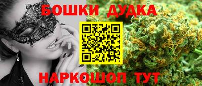 шишки Кандалакша