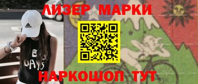 шишки Кандалакша