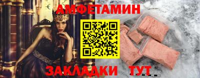 шишки Кандалакша