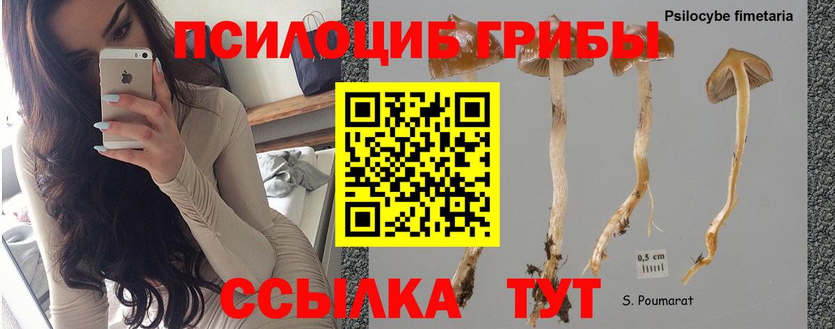 МАРИХУАНА Кунгур