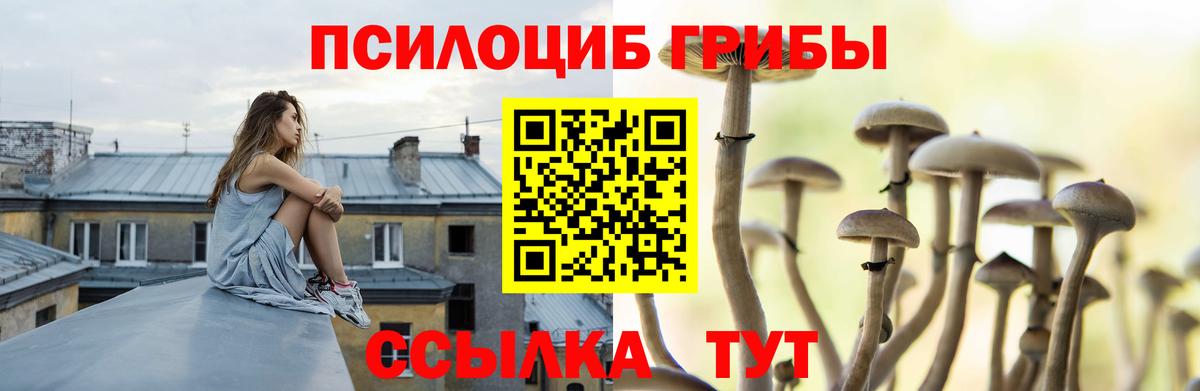 Псилоцибиновые грибы Psilocybine cubensis  Вход с VPN  продажа наркотиков  Кунгур  Галлюциногенные грибы мицелий 